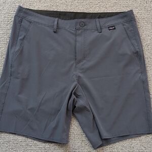 Men's Patagonia Boardshorts